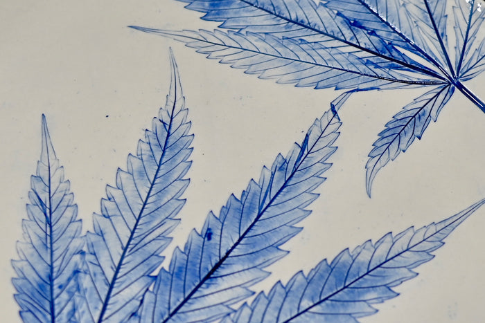 Blue Cannabis Leaf Platter