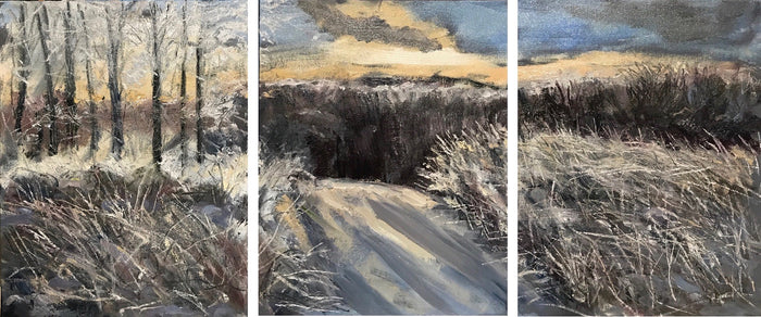 MG #60 Triptych; Buttercup Preserve, February 5th, 2022