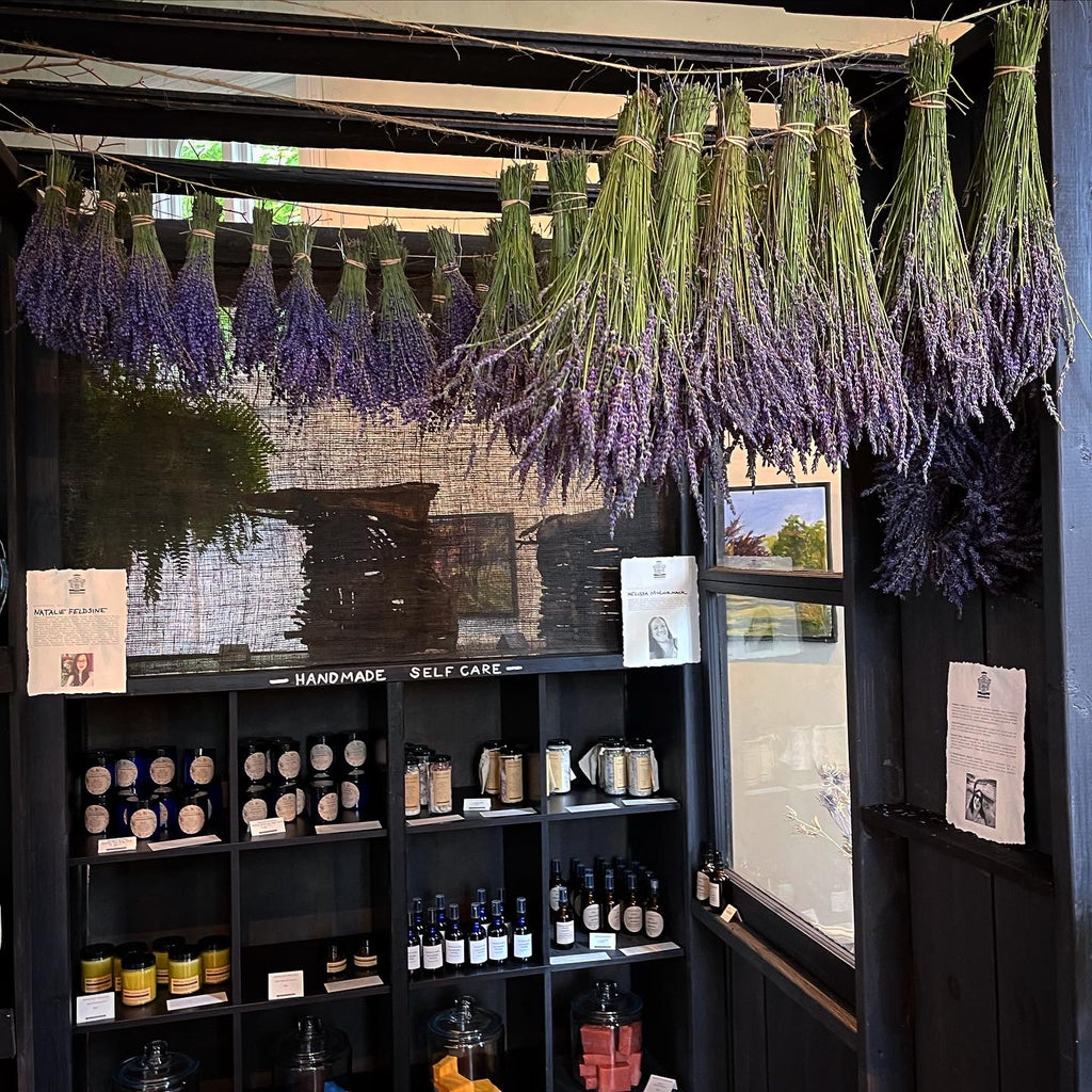 Trumbull Farms’ English Royal Velvet  Lavender Bunch